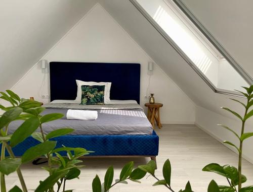 包道乔尼托毛伊P19 Boutique Villa Badacsony的一间卧室配有一张蓝色床头板的床
