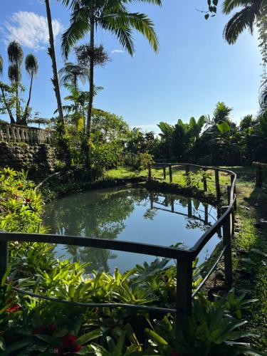 San GerardoBotanica Gardens and Eco Lodge的棕榈树花园中间的一个池塘