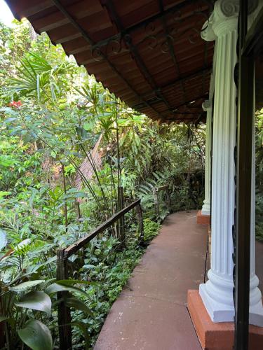 San GerardoBotanica Gardens and Eco Lodge的门廊,有栅栏和植物