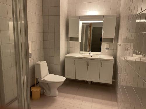 卡拉绍克SamiCity Hotel As的一间带卫生间、水槽和镜子的浴室