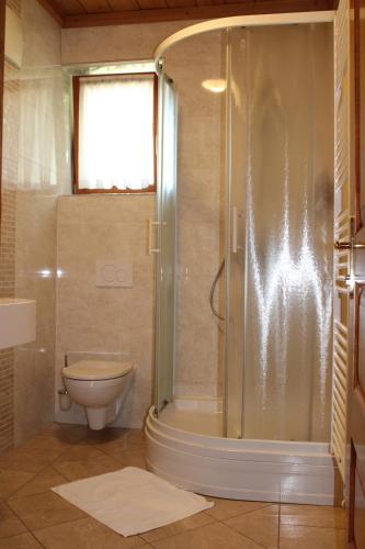 LjubnoŠport center Prodnik的带淋浴和卫生间的浴室