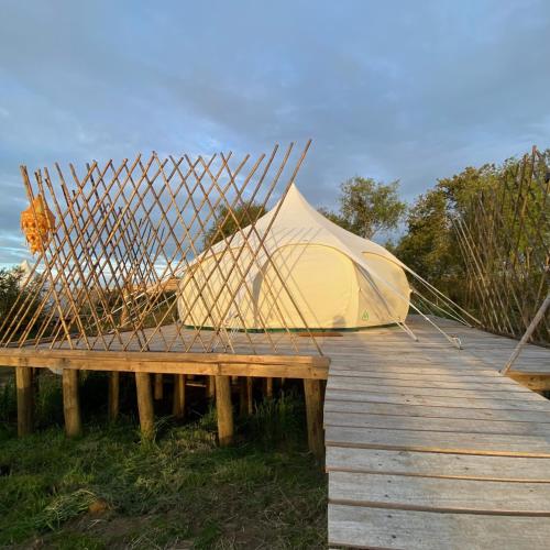 La Colmena Glamping