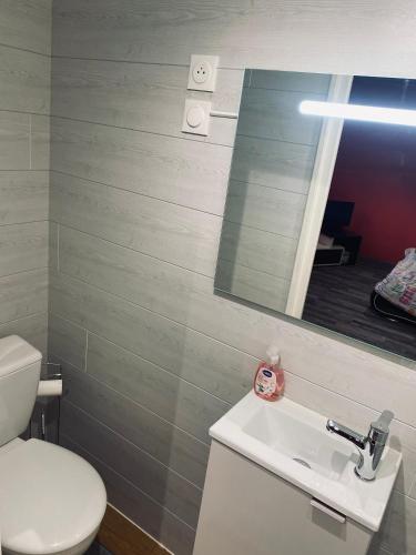 圣谢利达普谢Chambre indépendante的一间带卫生间、水槽和镜子的浴室