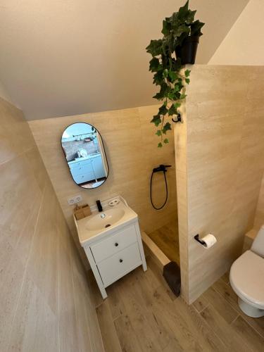 里加Kart apart 3的一间带水槽和镜子的浴室