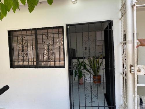 巴耶杜帕尔Mami Yola的门和盆栽的门
