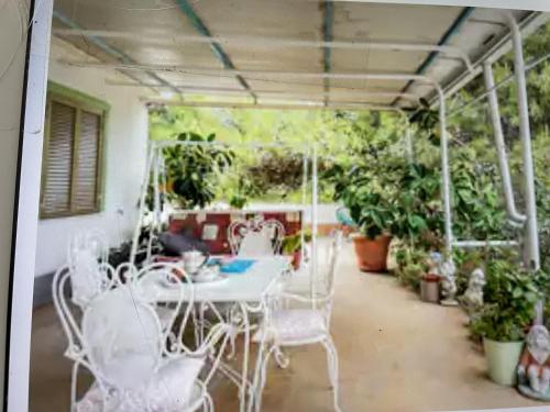 维拉皮亚纳Casa Patrizia的庭院配有桌椅和植物