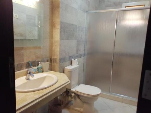艾因苏赫纳Telal Ground Floor 2 bedroms的浴室配有卫生间、盥洗盆和淋浴。