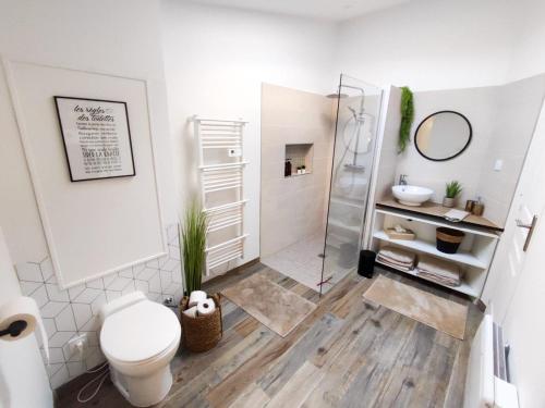 HirsonSublime appartement hyper centre Hirson的白色的浴室设有卫生间和淋浴。