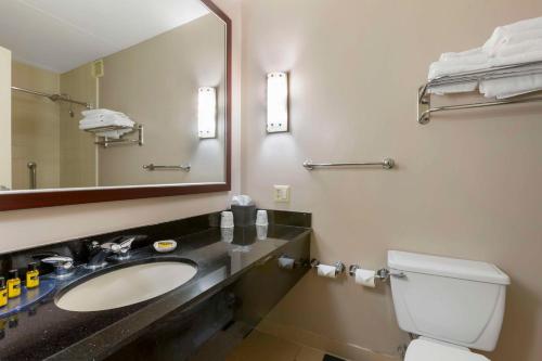 莫斯科普拉斯大学贝斯特韦斯特PLUS酒店的一间带水槽、卫生间和镜子的浴室