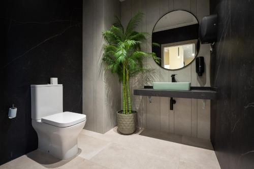 梅里达Hotel Aldama的一间带卫生间、水槽和棕榈树的浴室