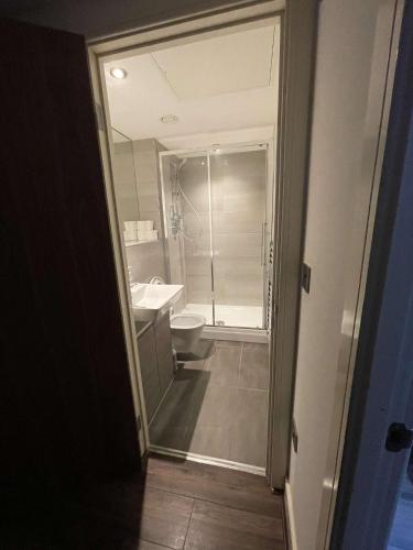 伯明翰One Bedroom Apartment/Studio的带淋浴、卫生间和盥洗盆的浴室