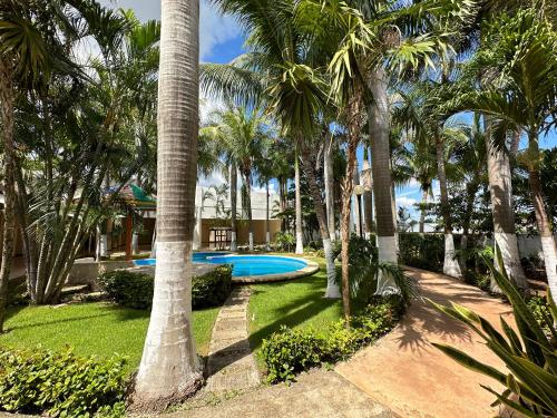 坎佩切巴兰基亚酒店的一个带游泳池和棕榈树的度假庭院