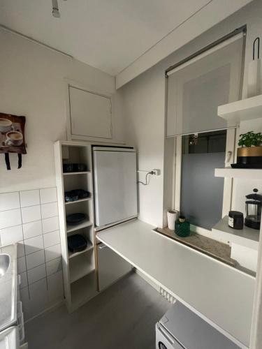 图尔库Ihana yksiö Turun keskustassa的一间厨房,内配白色冰箱