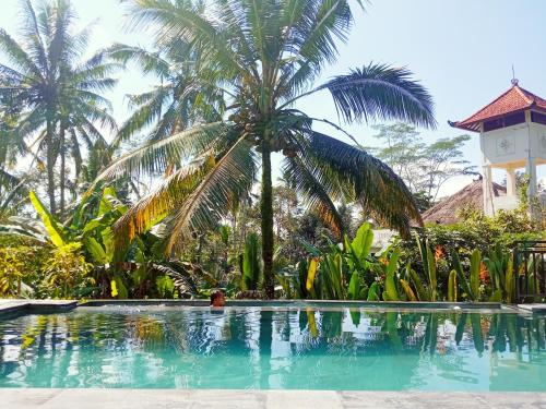 德格拉朗Ubud nadi villa的坐在棕榈树旁的游泳池里的人