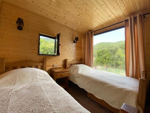 第比利斯Cozy cabin的木间设有两张床,设有窗户