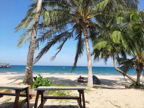 Kampong Juara刁曼佩买小木屋的棕榈树海滩上的两把长椅和大海