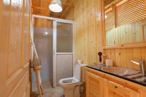 伊姆利尔Dar Aymane的浴室配有卫生间、盥洗盆和淋浴。