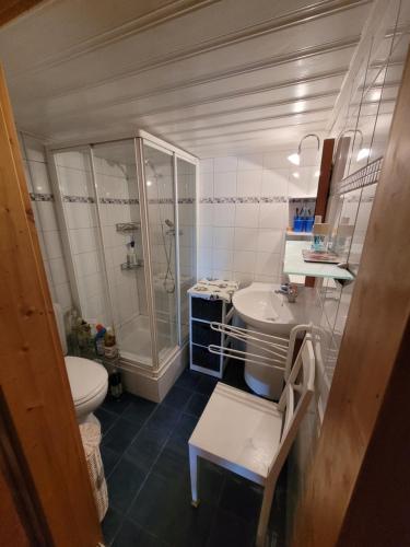 奥瓦伦纳茨Charmant chalet familial ancien的浴室配有卫生间、盥洗盆和淋浴。