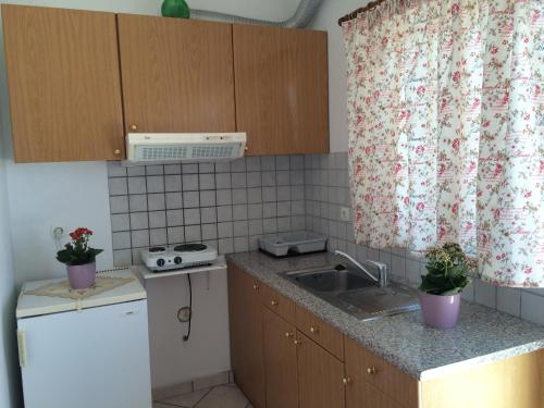 鲁维斯To Perigiali Apartments的一间带水槽和冰箱的小厨房