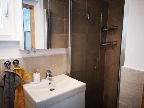 Apartment direkt am Weingut Garber的浴室配有白色水槽和淋浴。