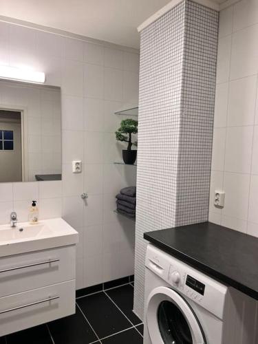 斯沃尔韦尔Leilighet sentralt i Svolvær的一间带洗衣机和水槽的浴室
