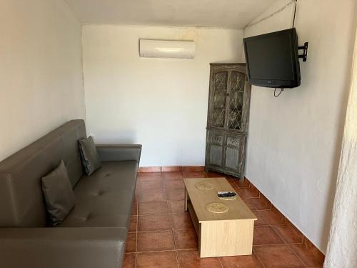 穆尔西亚Agradable casa rural的带沙发和电视的客厅