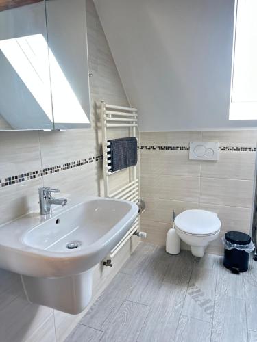 Oedheim1 Zimmer Wohnung DG mit Klimaanlage und kleinen Balkon的白色的浴室设有水槽和卫生间。