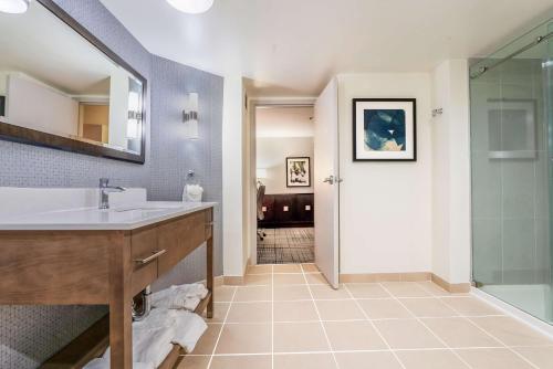 夏洛特DoubleTree by Hilton South Charlotte Tyvola的一间带水槽和淋浴的浴室