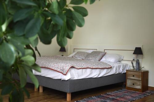 ZieleniakZielonoMi的一间卧室配有床和植物