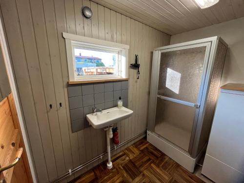 阿灵索斯Eget boende i privat uthuslänga的一间带水槽和淋浴的浴室