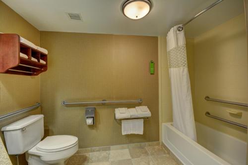 Southport南印第安纳波利斯汉普顿旅馆的一间带卫生间、浴缸和淋浴的浴室