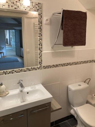 布尔格伊Chambres d'Hôtes Rue du Poids的一间带水槽、卫生间和镜子的浴室