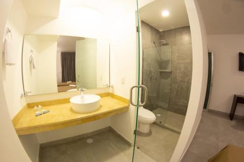Iguala de la IndependenciaHOTEL REFORMA 14的一间带水槽、卫生间和淋浴的浴室