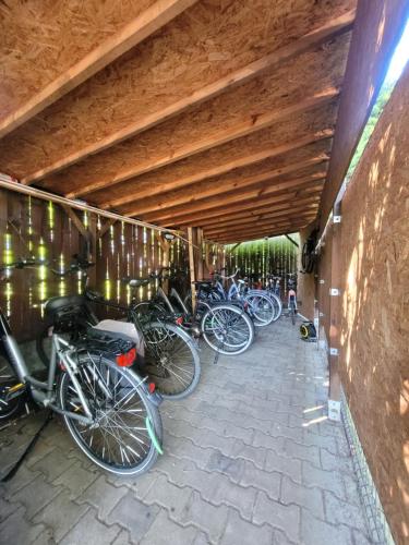 斯维诺乌伊希切杰蒂娜克别墅的一组自行车停放在木制天花板下