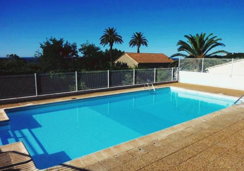 耶尔Loft T3 Duplex Vue Mer Porquerolles的一座种植了棕榈树的蓝色游泳池