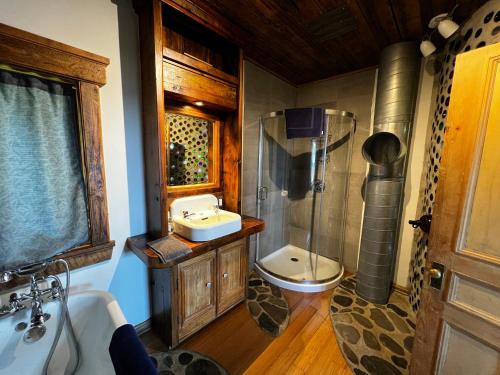圣安娜德蒙Chalet Epicea的浴室配有卫生间、盥洗盆和淋浴。