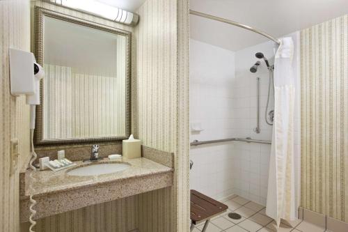 奥克布鲁克特莱斯希尔顿花园奥克布鲁克特莱斯酒店的一间带水槽和淋浴的浴室