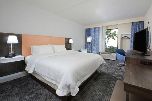 邓肯格林维尔/斯巴坦堡I-85希尔顿恒庭旅馆&套房酒店的酒店客房设有一张大床和一台电视。