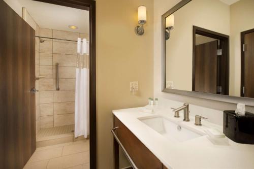 米德兰米德兰希尔顿惠庭套房酒店的一间带水槽和淋浴的浴室