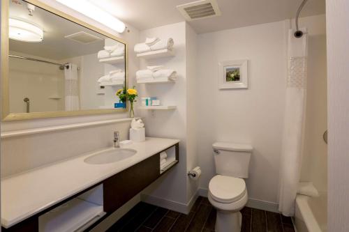圣巴巴拉圣芭芭拉/戈勒塔希尔顿恒庭酒店的一间带水槽、卫生间和镜子的浴室