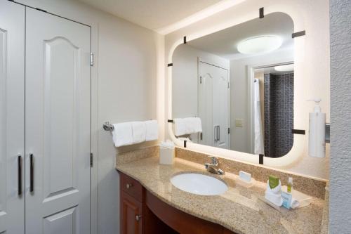 新温莎纽堡斯图尔特机场希尔顿惠庭套房酒店的一间带水槽和大镜子的浴室