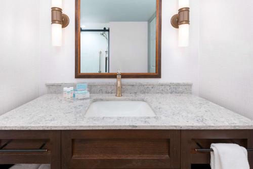 威廉斯维尔汉普顿酒店水牛城 - 威廉斯维尔的一间带水槽和镜子的浴室