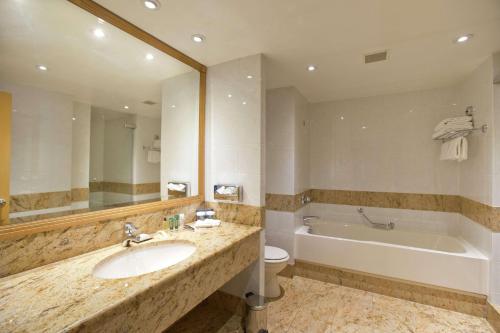 鲁瓦西昂法兰西希尔顿巴黎戴高乐机场酒店的一间带水槽、浴缸和卫生间的浴室
