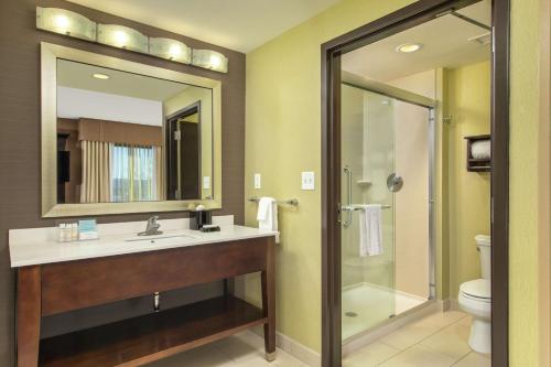 查塔努加查塔努加/汉密尔顿广场汉普顿套房酒店的一间带水槽和淋浴的浴室