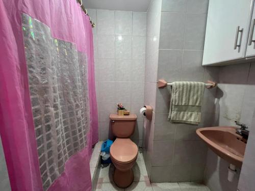 AtuntaquiHermoso y acogedor departamento的一间带粉红色淋浴帘和卫生间的浴室