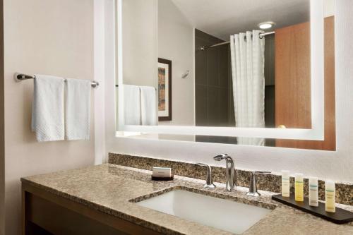 格雷普韦恩Embassy Suites Dallas - DFW Airport North的一间带水槽和大镜子的浴室