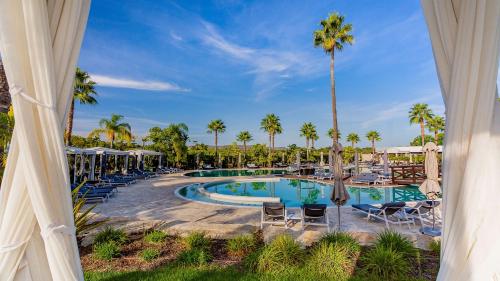 金塔湖康拉德阿尔加维酒店的一个带椅子和棕榈树的度假村游泳池