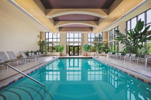 温泉城温泉市大使馆酒店暨Spa的一座游泳池,位于酒店,设有椅子和树木