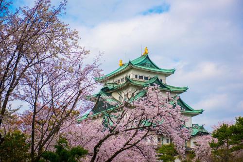 名古屋名古屋希尔顿酒店的一座日本建筑,前面有樱花树