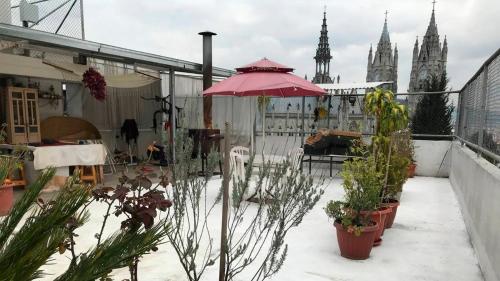 基多Tin House Quito的一个带粉红色雨伞和盆栽的庭院